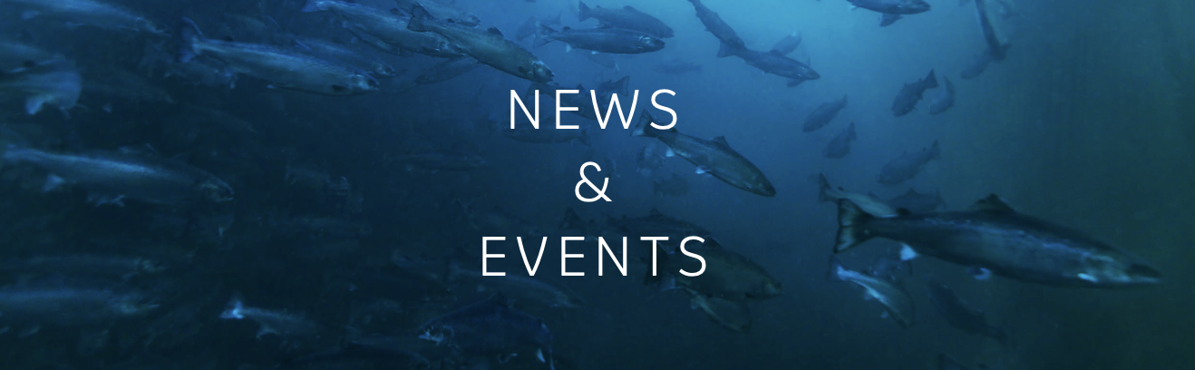 News and Events